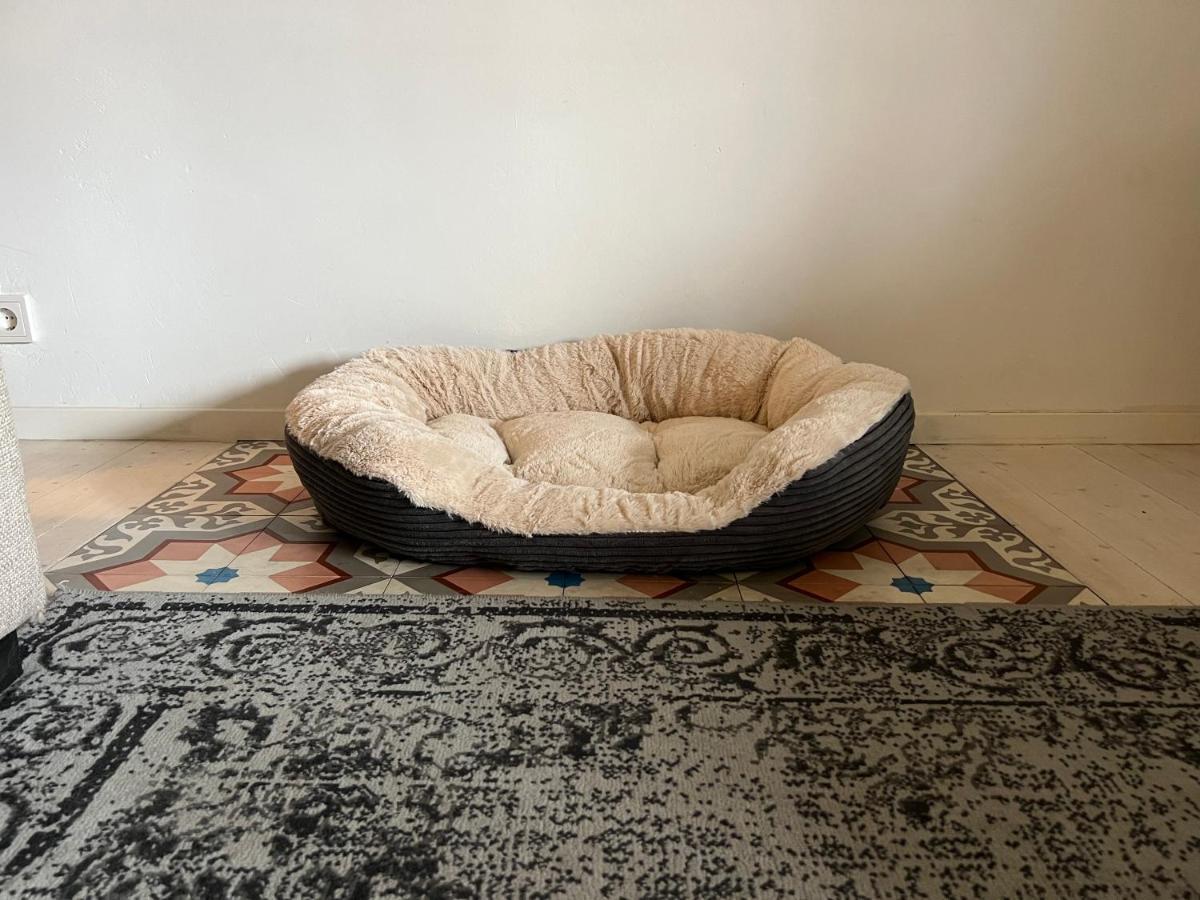 B&B Appartement Rebel And Moon In Het Centrum Van Alblasserdam المظهر الخارجي الصورة